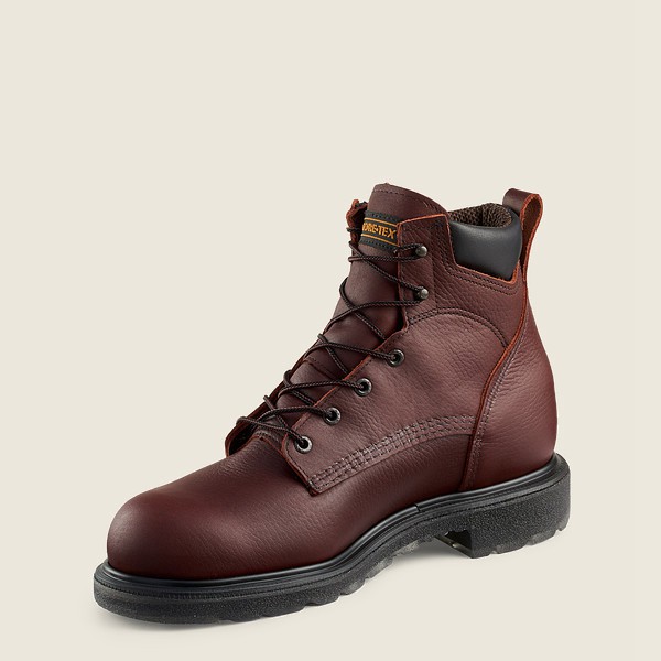 Botas de Trabajo Red Wing Hombre Vino - Supersole® 2.0 - 6-Inch Waterproof Soft Toe - 854-PWLSEV